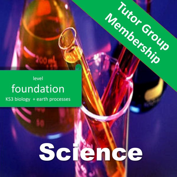 Science Tutor Group Annual Membership